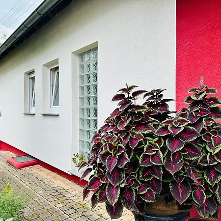 ☆gemuetliche 1-zimmerwohnung Mit Terrasse☆ Apartment